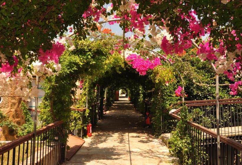 Siesta Beach Apartment