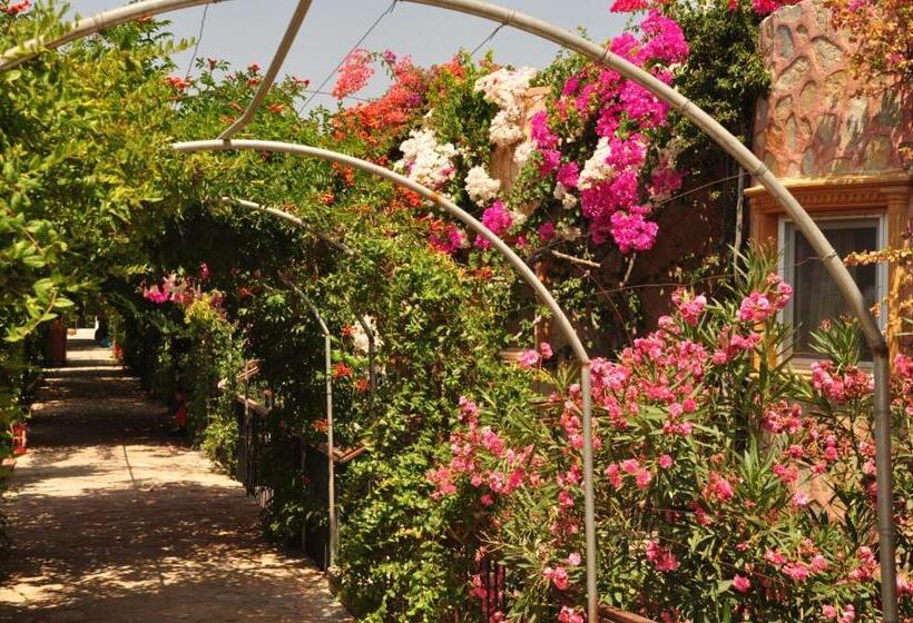 Siesta Beach Apartment