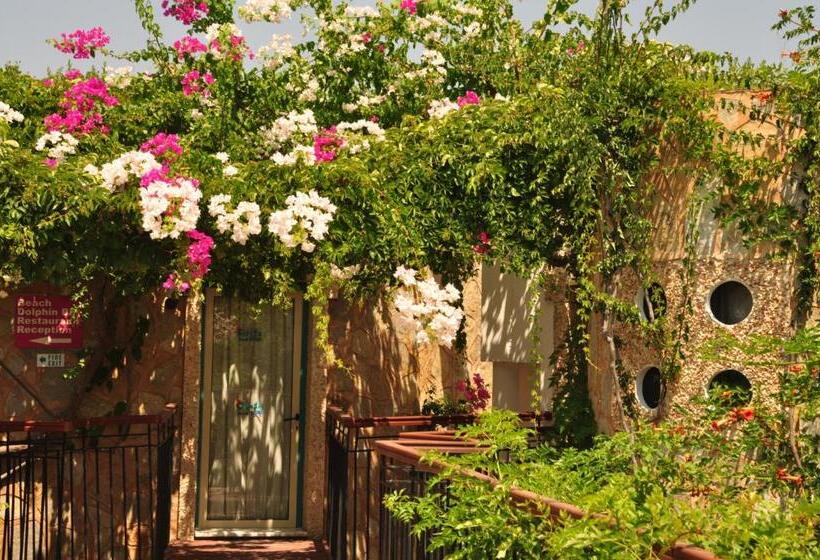 Siesta Beach Apartment