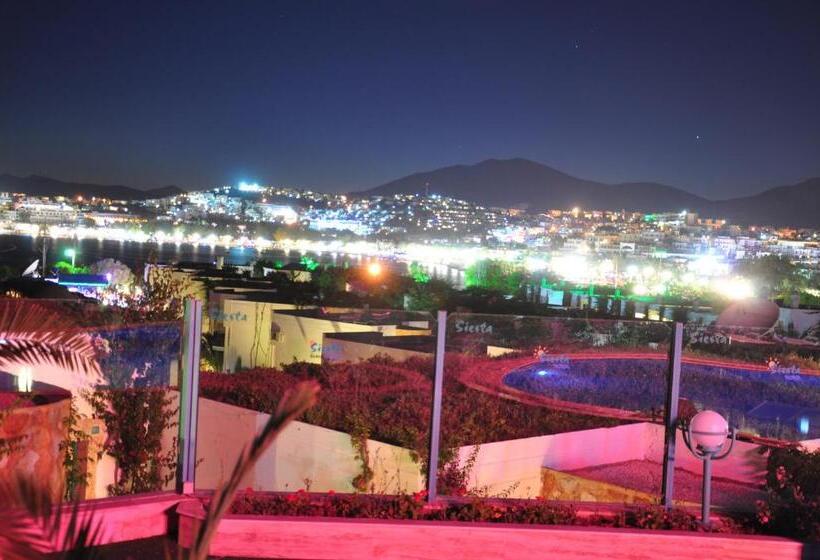 Siesta Beach Apartment