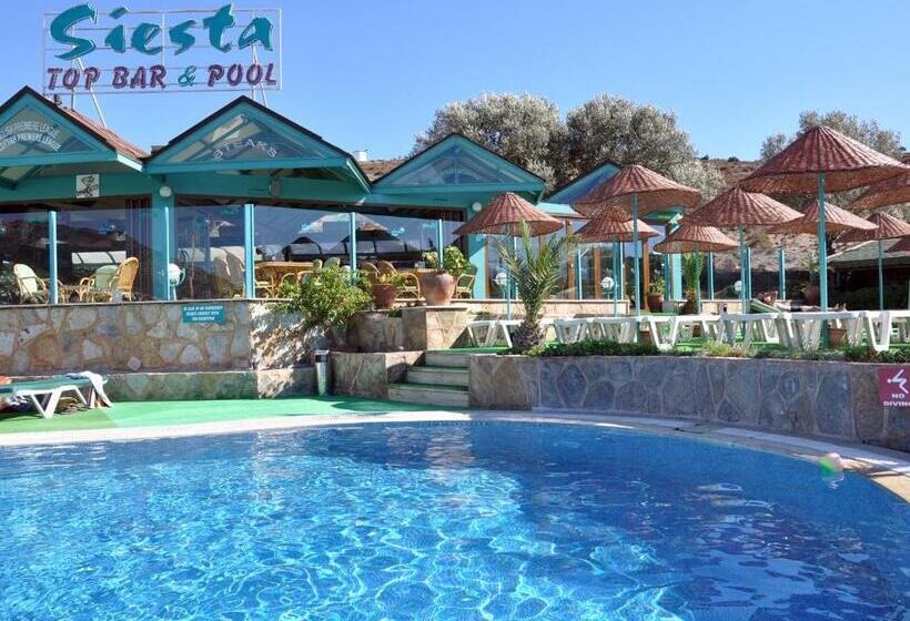 Siesta Beach Apartment