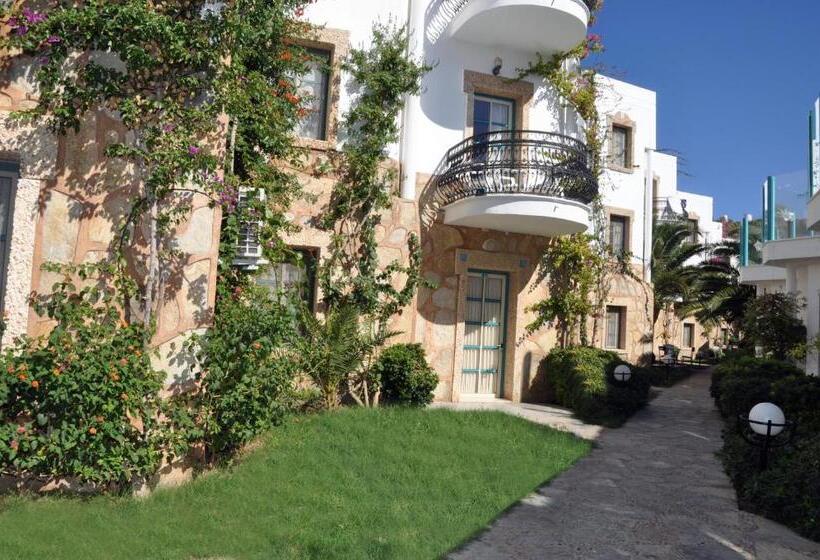 Siesta Beach Apartment