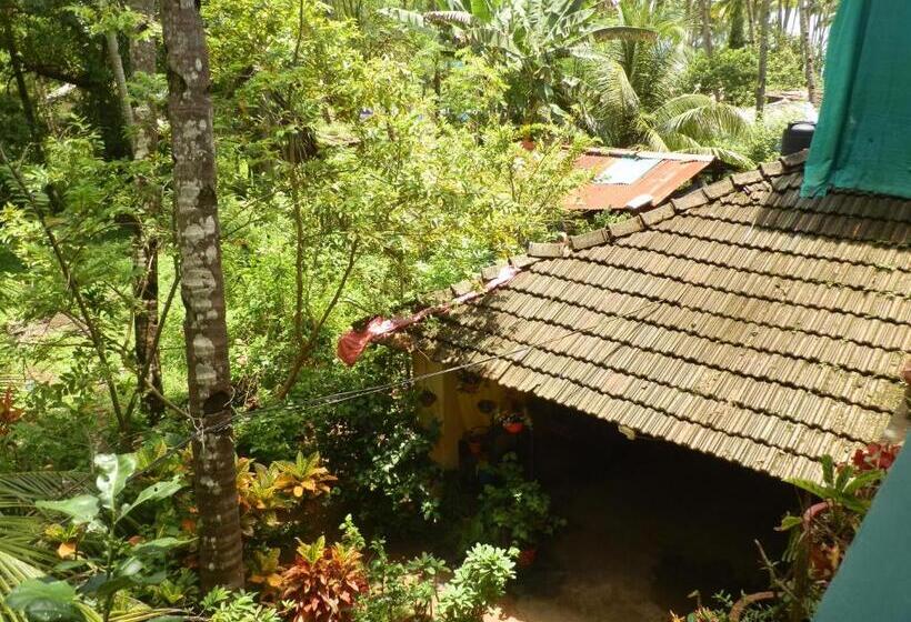 Pensão Babush Ocean Star