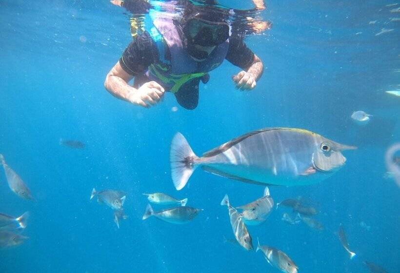 پانسیون Crystal Sands