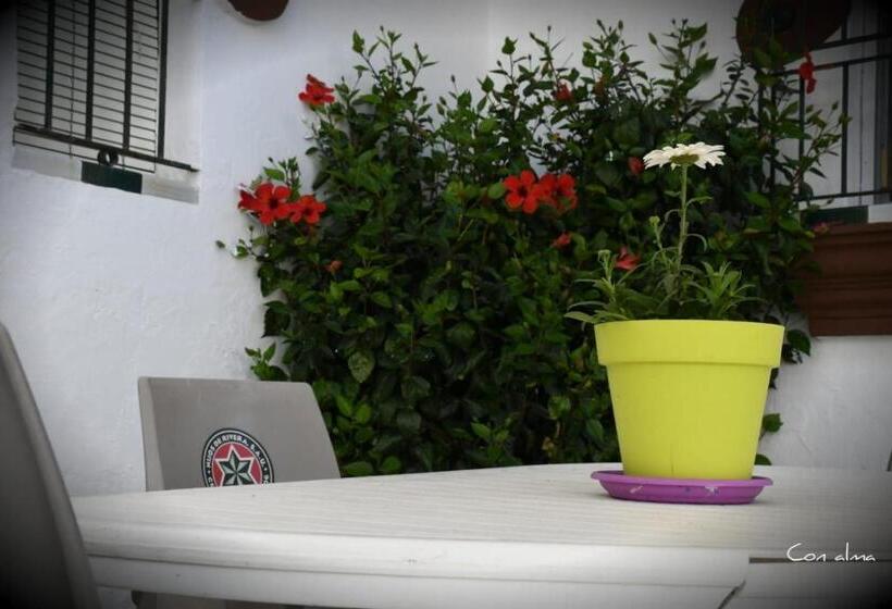 بنسيون Hostal Costa De La Luz