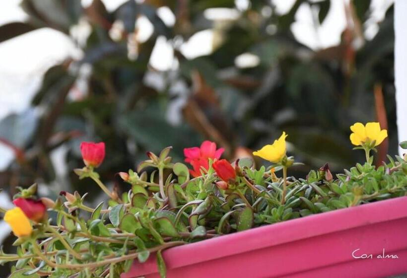 بنسيون Hostal Costa De La Luz