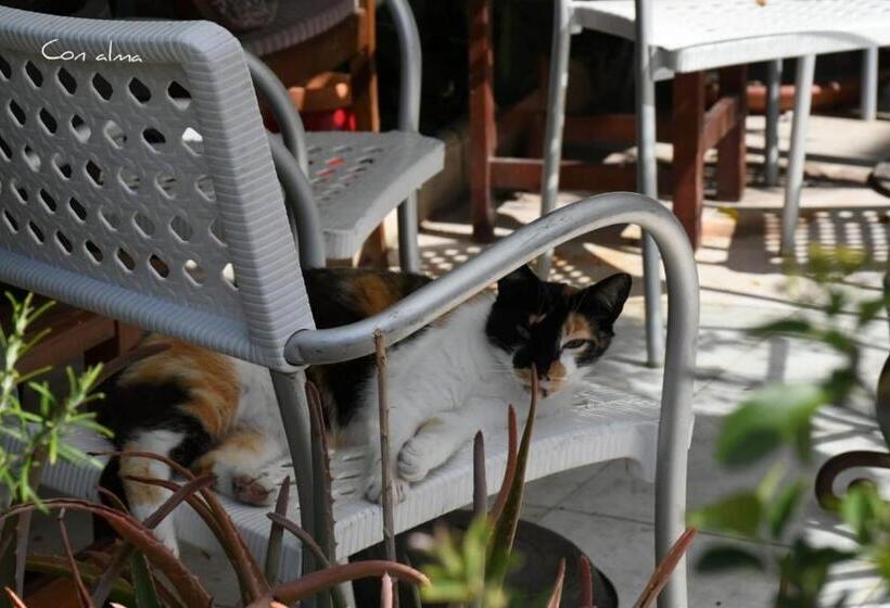 بنسيون Hostal Costa De La Luz