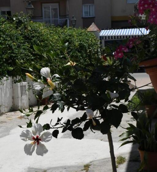 بنسيون Hostal Costa De La Luz