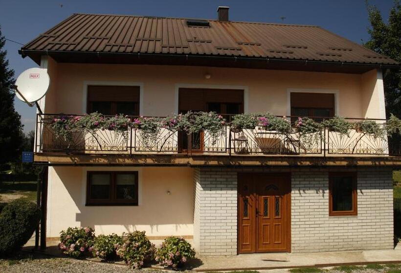 פנסיון House Drakulić