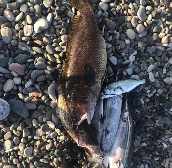 پانسیون Marina Kvariati