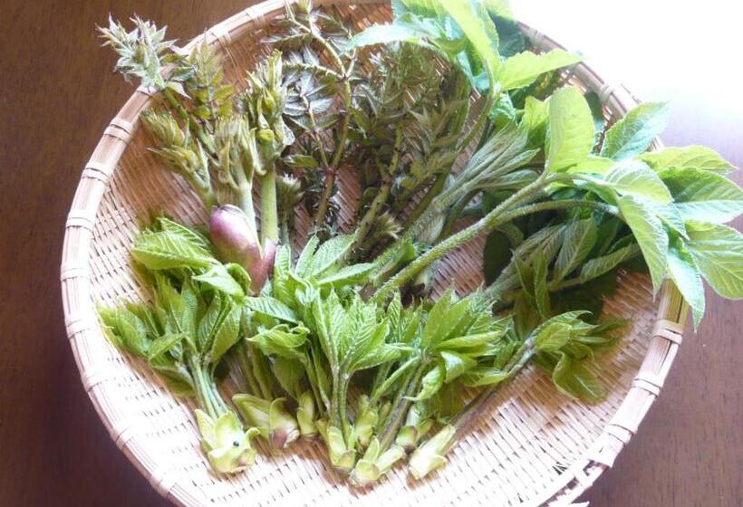 Blueberry Pension Madarao