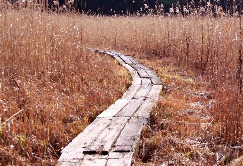 Blueberry Pension Madarao