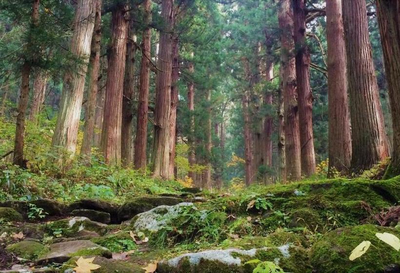 Blueberry Pension Madarao