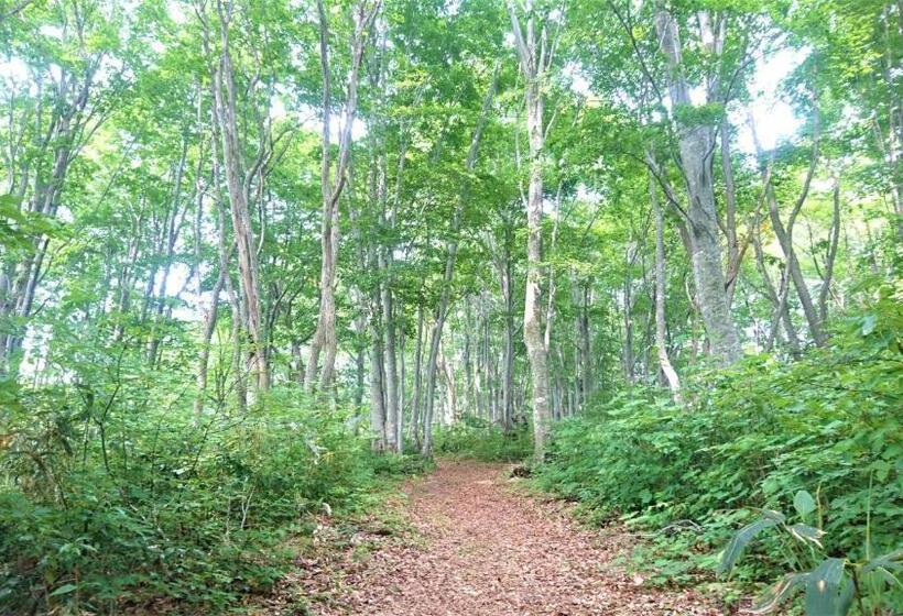 Blueberry Pension Madarao