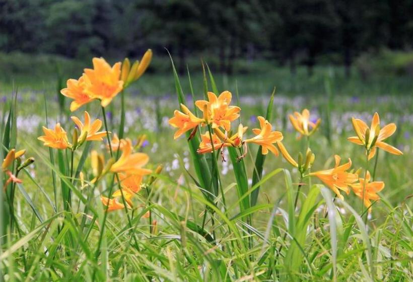 Blueberry Pension Madarao