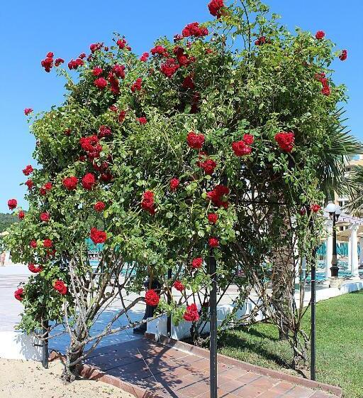 Duni Marina Beach Hotel All Inclusive