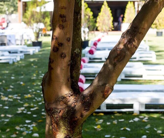 فندق Balneario Valle Del Jerte