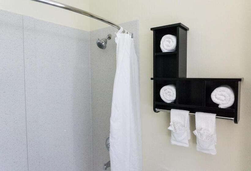 בית מלון כפרי Best Western Mayport Inn & Suites