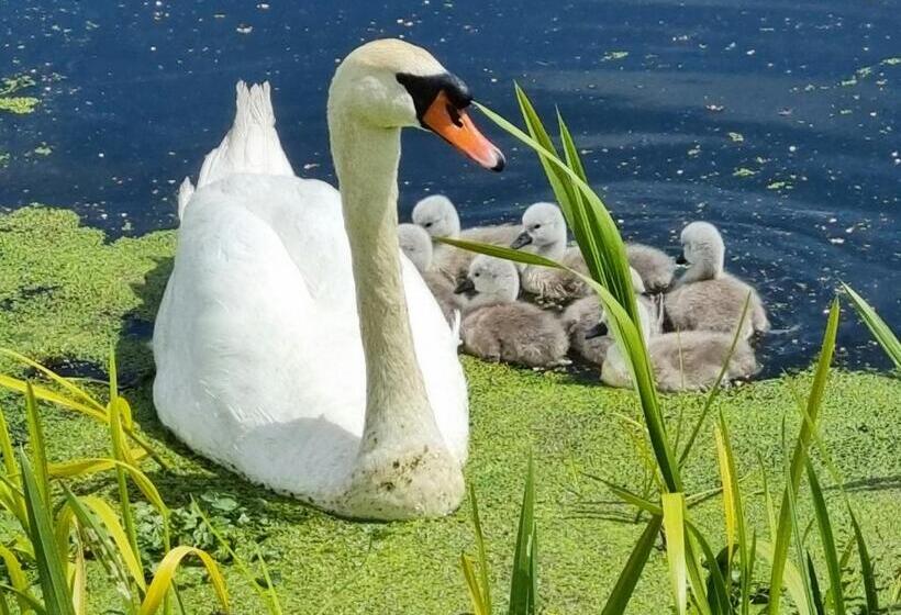 فندق Burnt House Farm