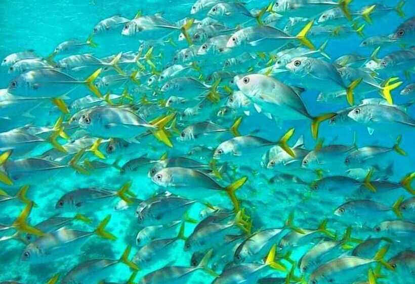 ホテル Corona Del Mar