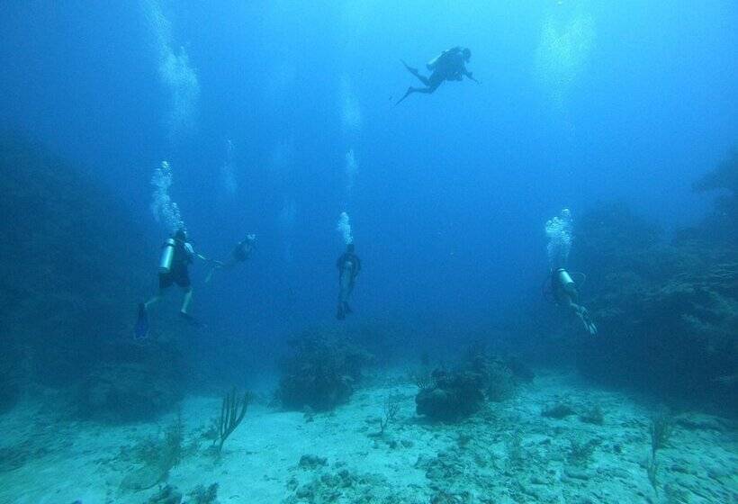 בית מלון כפרי Corona Del Mar