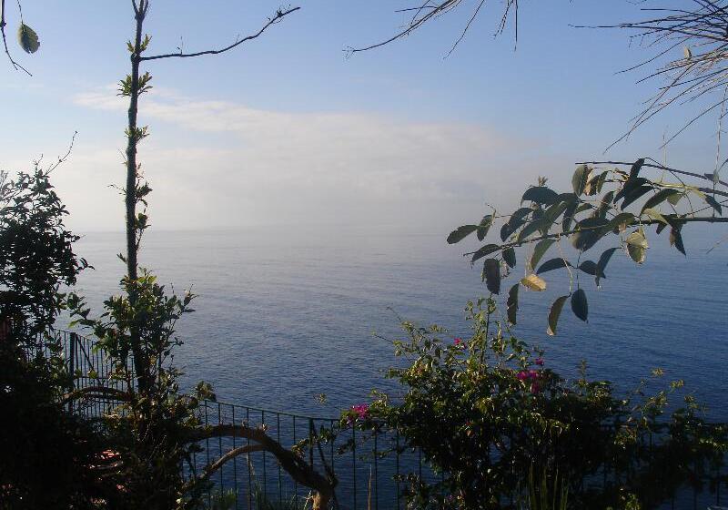 Отель Inn & Art Madeira