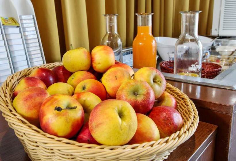 호텔 Kyriad Vienna Altmannsdorf