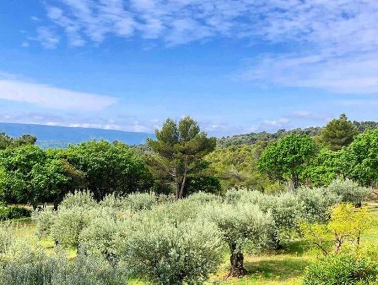 فندق Le Jas De Joucas Hôtel Restaurant