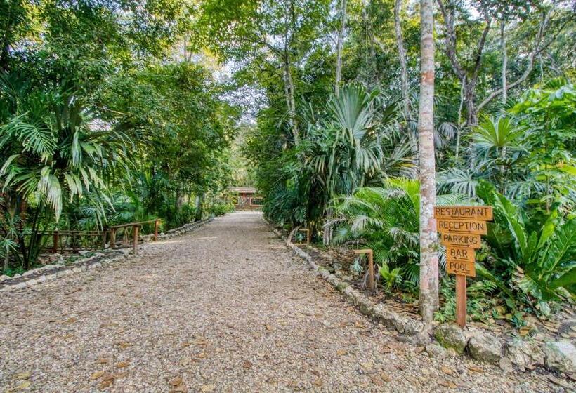 فندق Mariposa Jungle Lodge