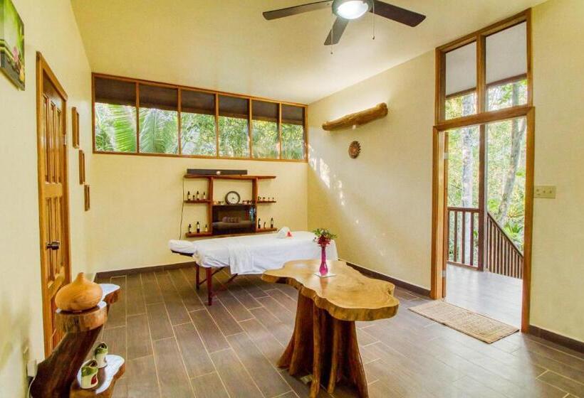 فندق Mariposa Jungle Lodge