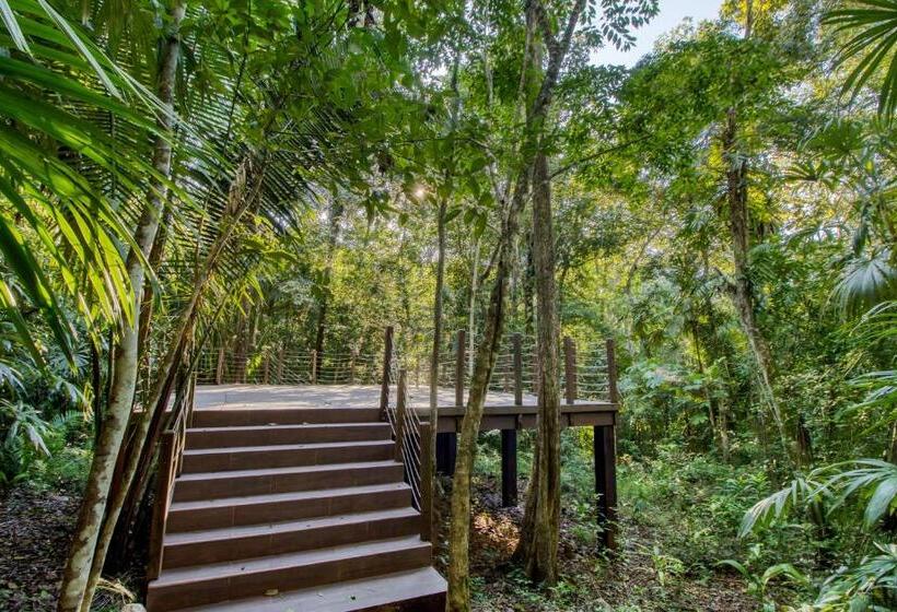 فندق Mariposa Jungle Lodge