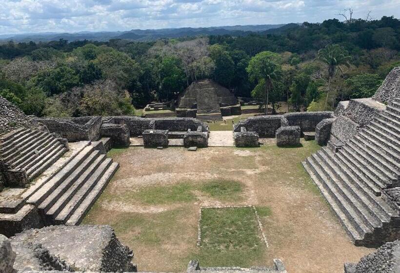 فندق Mariposa Jungle Lodge