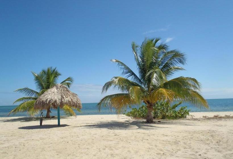 فندق Michelo Suites