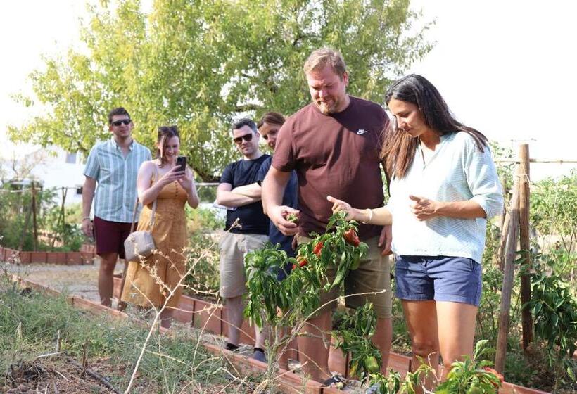 酒店 Monte Do Alamo   Turismo Rural