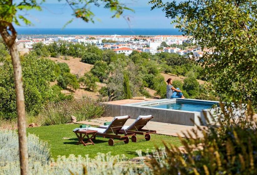 酒店 Monte Do Alamo   Turismo Rural