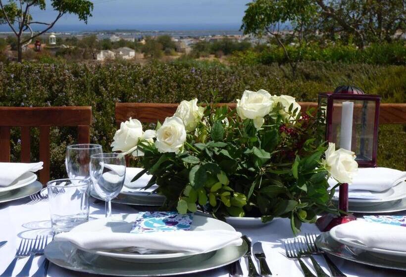 酒店 Monte Do Alamo   Turismo Rural