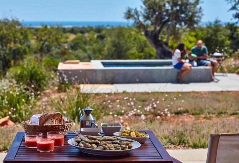 酒店 Monte Do Alamo   Turismo Rural