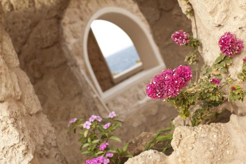 Hotel Pickalbatros Citadel Resort Sahl Hasheesh