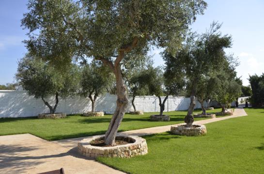 בית מלון כפרי Pirotta