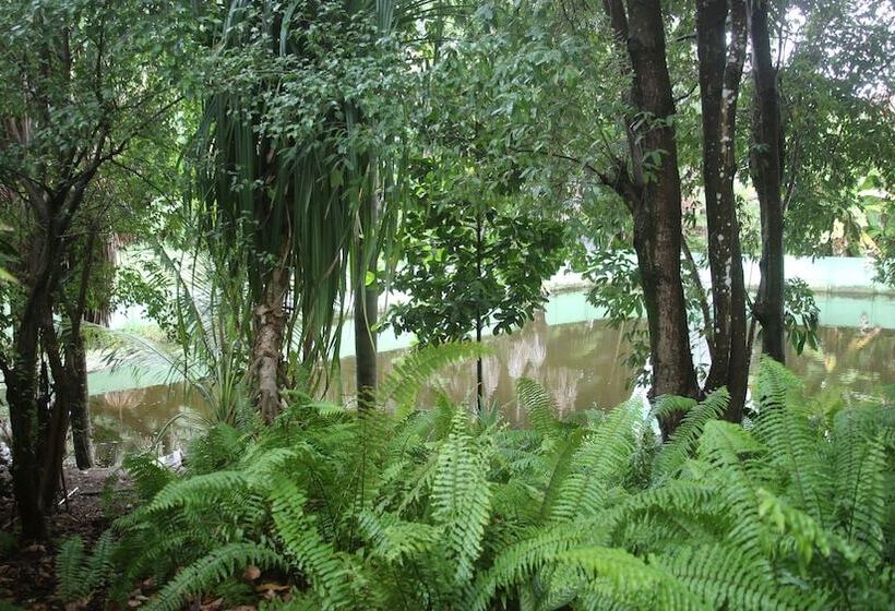 فندق Pousada Do Buriti