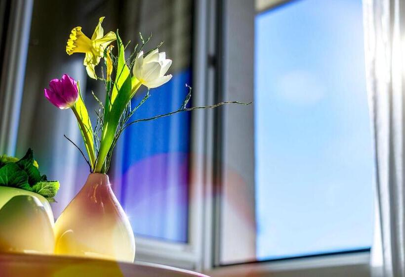 فندق Stoiser Graz