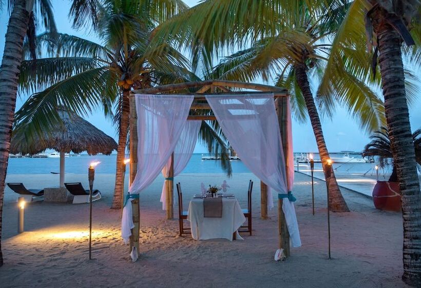 בית מלון כפרי The Placencia