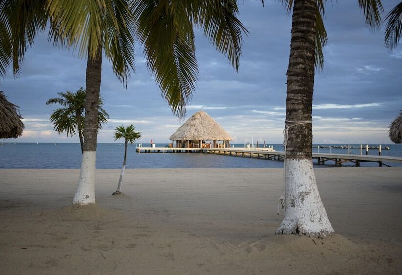 בית מלון כפרי The Placencia