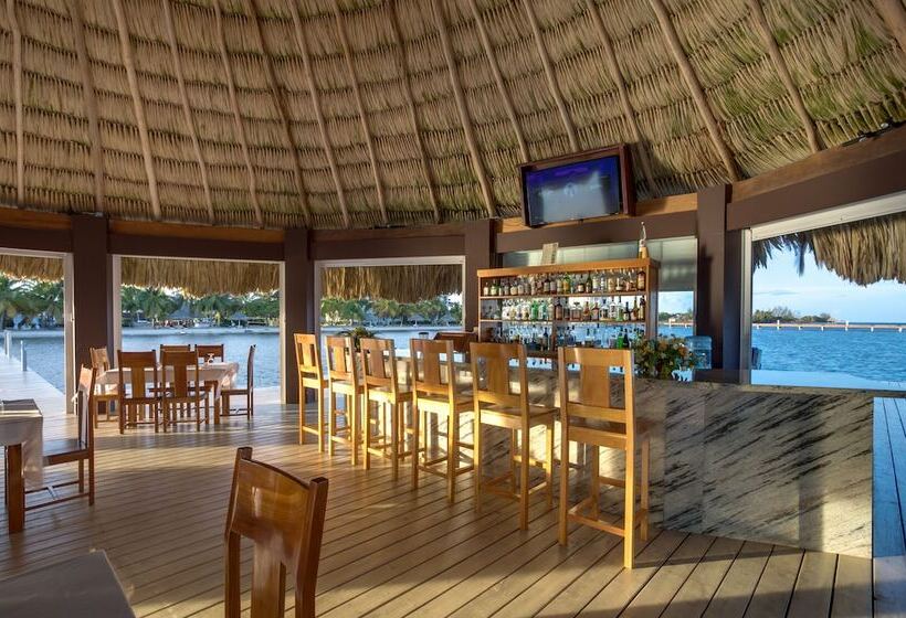 בית מלון כפרי The Placencia