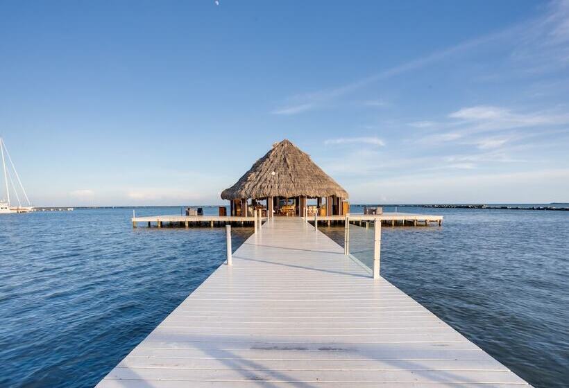 בית מלון כפרי The Placencia