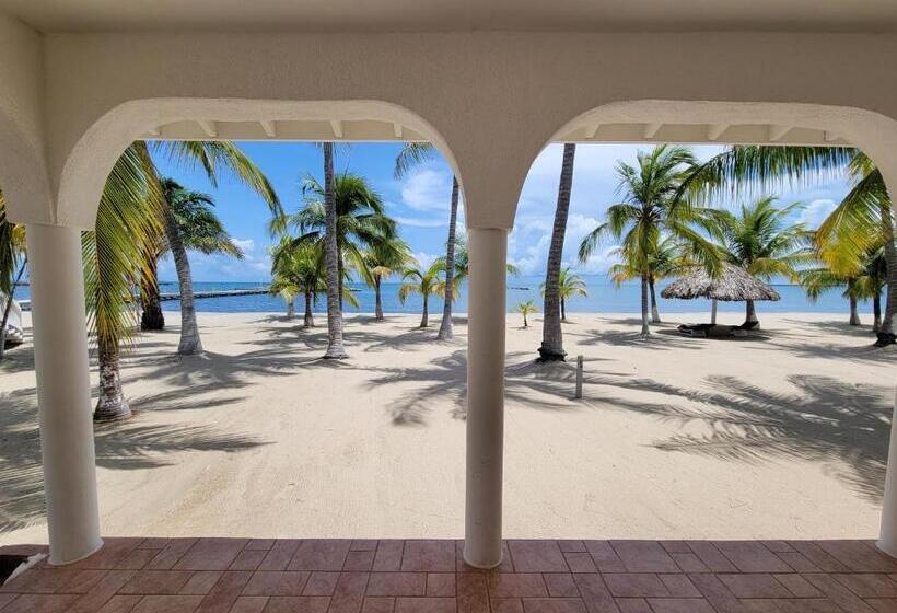 בית מלון כפרי The Placencia