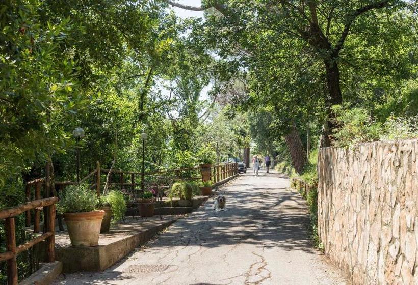 בית מלון כפרי Villa Romita