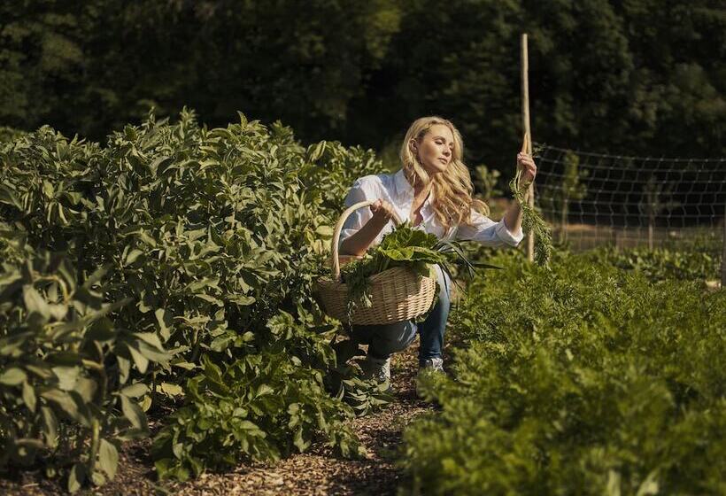 هتل Vitarium Superior Terme Krka