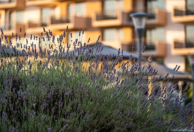 Hvd Club Hotel Miramar Ultra All Inclusive