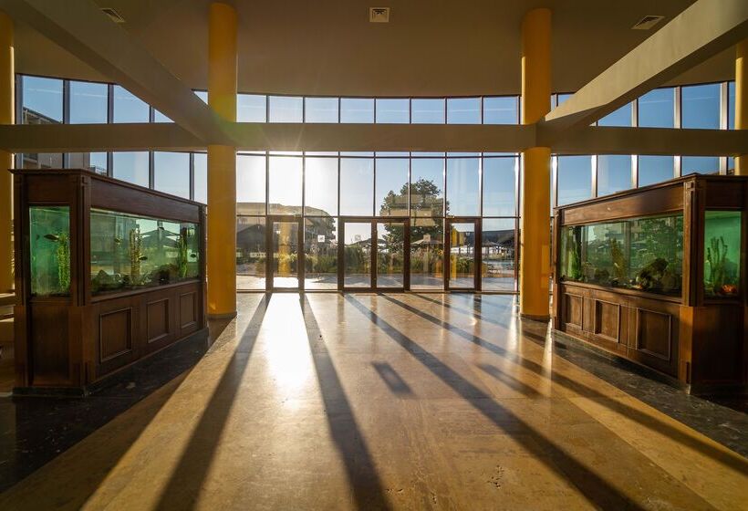 Hvd Club Hotel Miramar Ultra All Inclusive